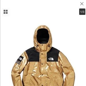 Supreme X The North Face Metallic Mountain Parka